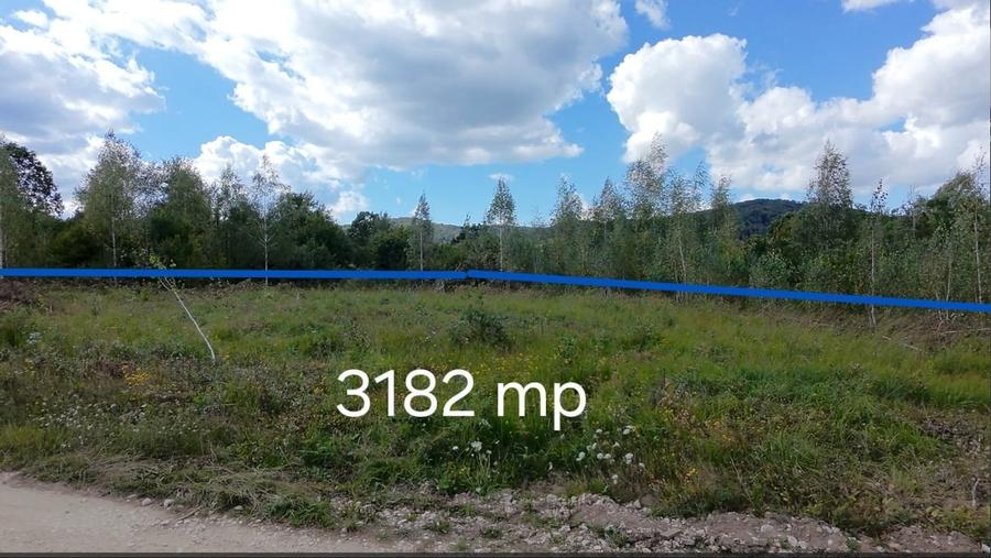 Teren agricol extravilan de 3182 mp, în Șinca Nouă