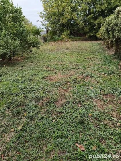 Casă cu 5 camere cu Teren 1300 Mp în Crivina