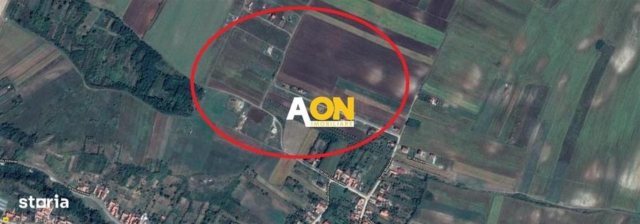 De vanzare 509 mp teren intravilan in Oarda - 1