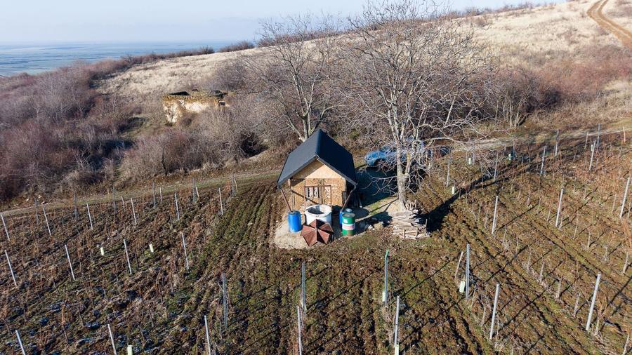 Teren agricol extravilan de 6800 mp, în Covăsinț