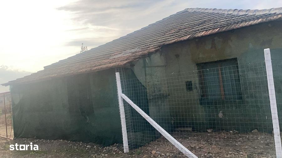 Teren de 7000 mp, în Limanu
