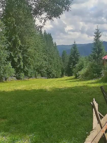 Teren de 3000 mp, în Beliș