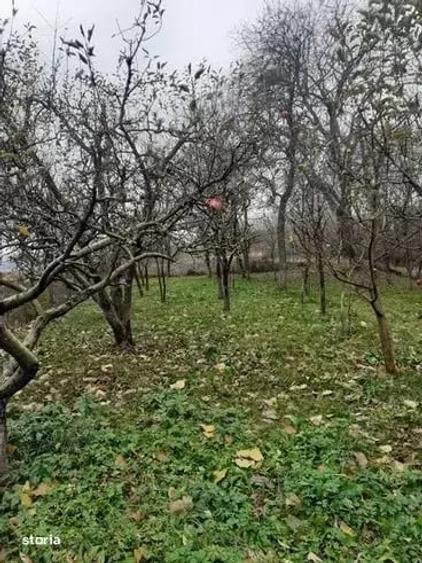 Casă cu 2 camere în Rediu