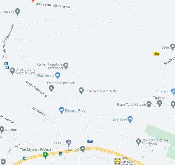 Teren parcelabil 5300 mp zona Lomb - 4
