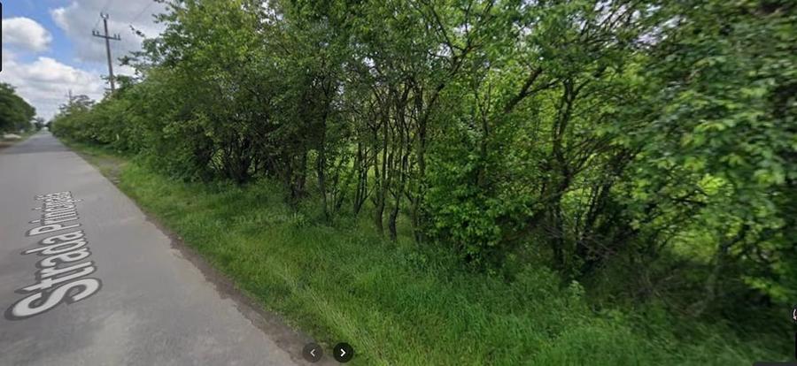 Teren de 2800 mp, în Ghizdaru
