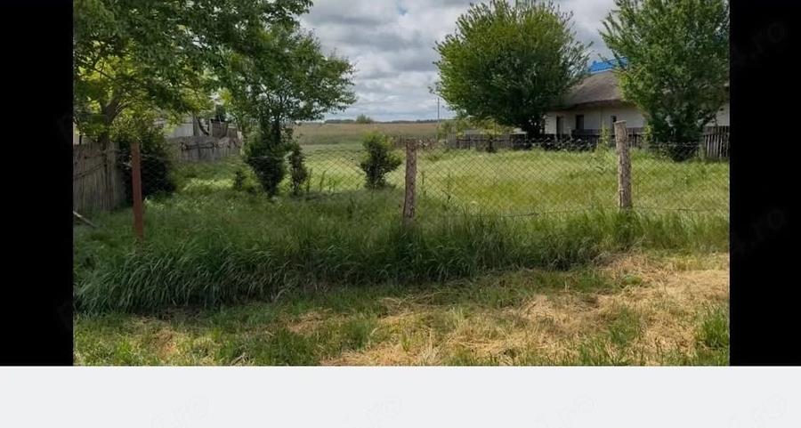 Teren de 1344 mp, în Crișan