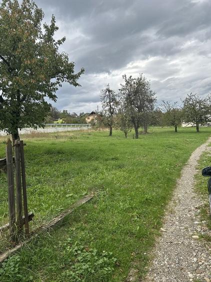 Spațiu comercial, în Filioara