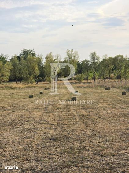 Teren intravilan 6.514mp | 39m front stradal | Ciocaia, Sacuieni - 6