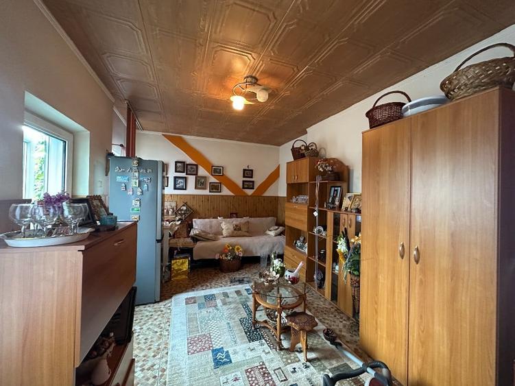 VIGAFON - Casa 8 camere Negoiesti-Prahova - 1