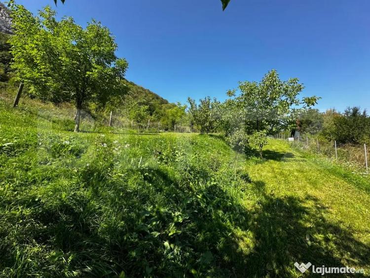 Teren deosebit de vanzare 1800 mp, Cheile Vali?oarei - 6
