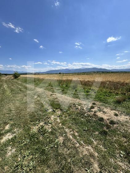 Teren agricol extravilan de 720 mp, în Cisnădie