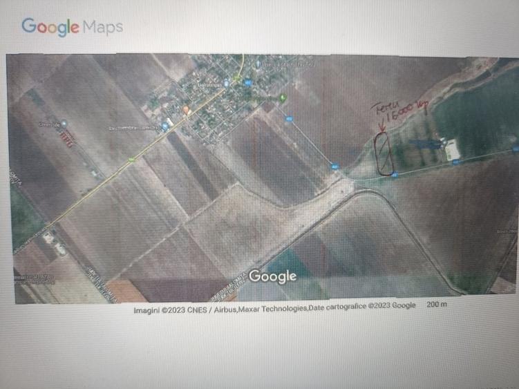 Teren de 16000 mp, în Lilieci