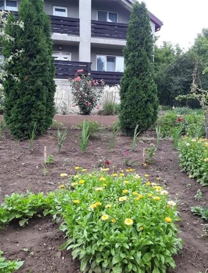 Casă individuală cu 4 camere cu Canalizare în Mihăileni