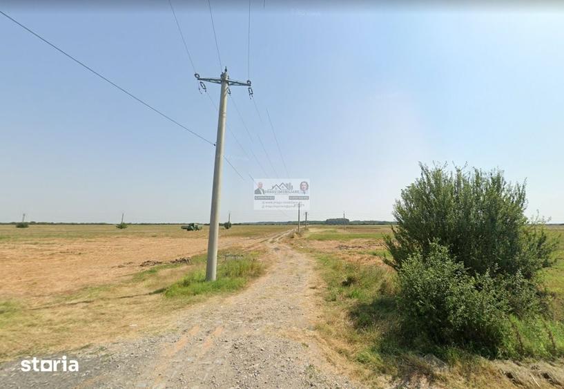 Teren de 17500 mp, în Militari