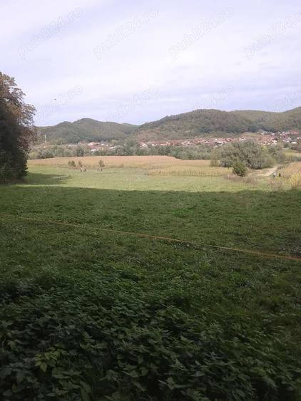 Teren de 5600 mp, în Nord
