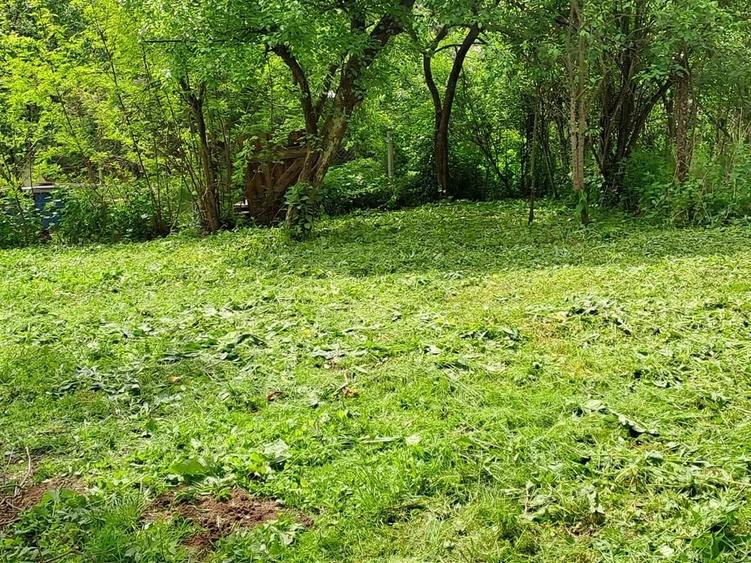 Casă cu 4 camere cu Teren 2000 Mp în Gura Văii