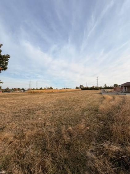 Teren Construcții extravilan de 3600 mp, în Vasile Alecsandri