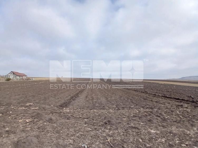 Teren agricol intravilan de 7700 mp, în Moara