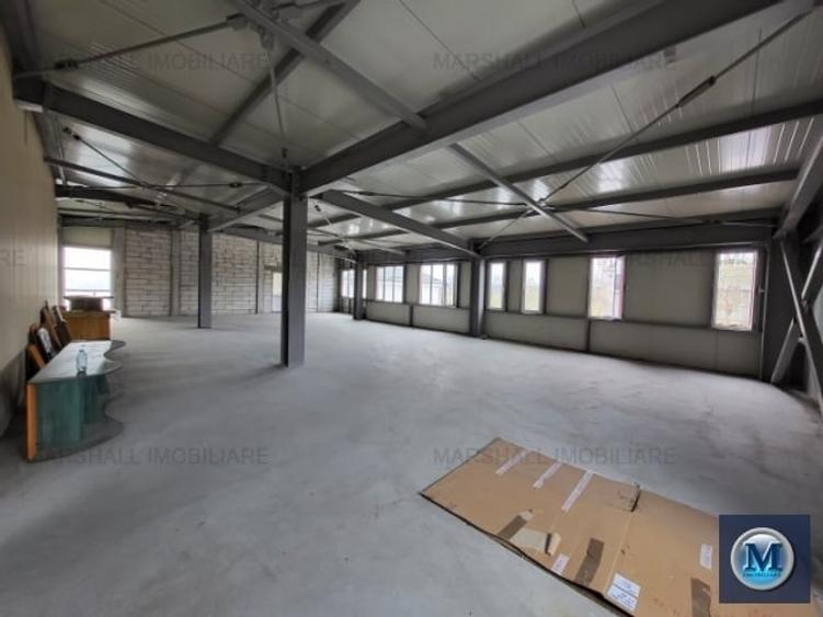 Spațiu industrial, de 798.54998779297 mp, în Exterior Vest