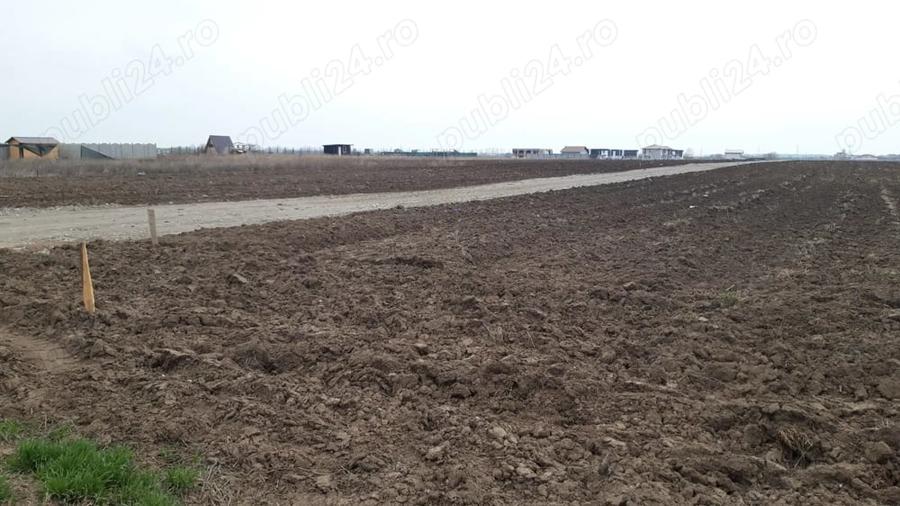 Teren intravilan -comuna Berceni-de vanzare 3 loturi - 1
