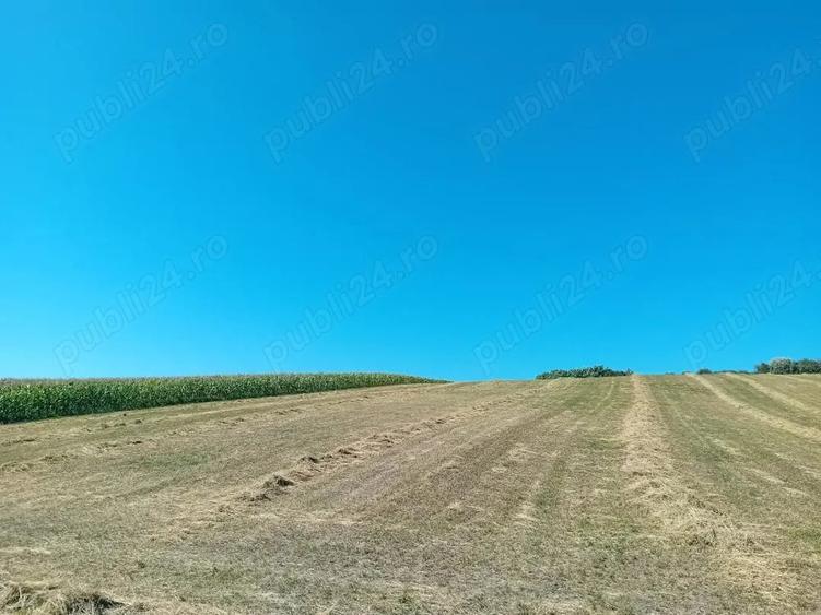 Teren în Central