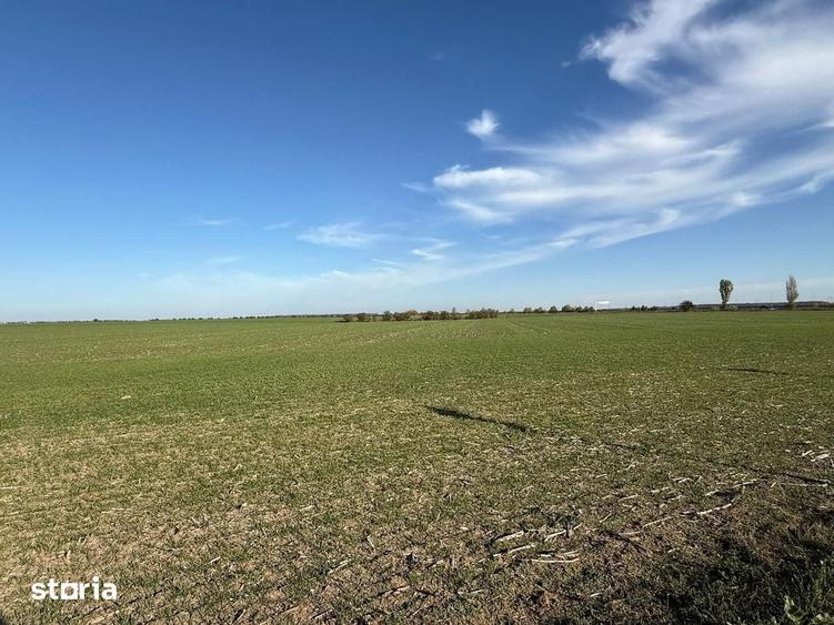 Spațiu comercial, de 4,500 mp, în Brănești