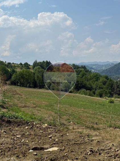 Teren Construcții intravilan de 1000 mp, în Sohodol