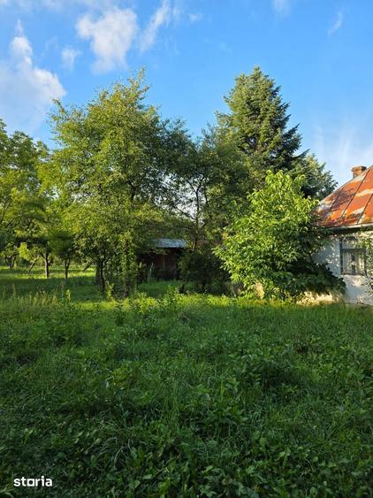 Teren de 2500 mp, în Central