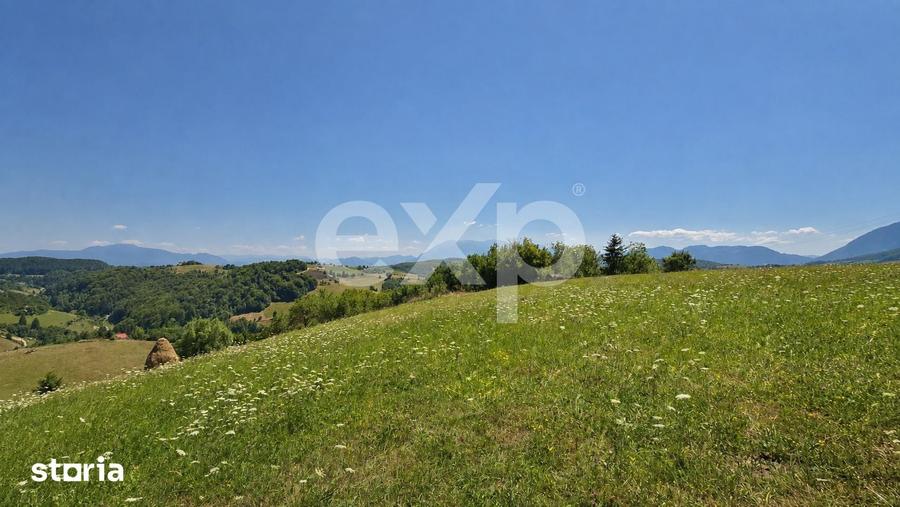 1061 mp in Poiana Marului | Teren cu potential, la doar 1 km de asfalt - 2