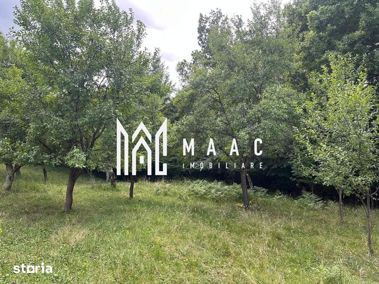 Teren de 2000 mp, în Rășinari