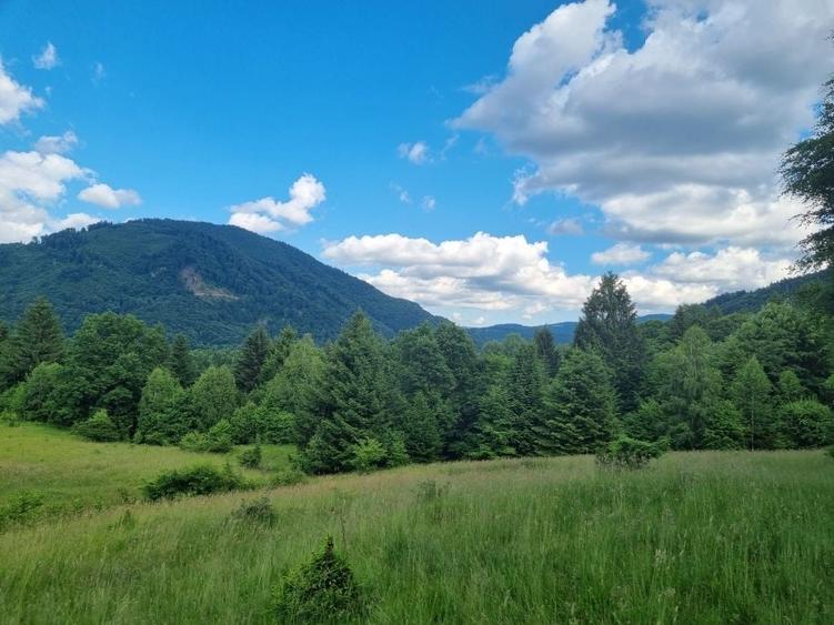 Teren de 9300 mp, în Pănicel