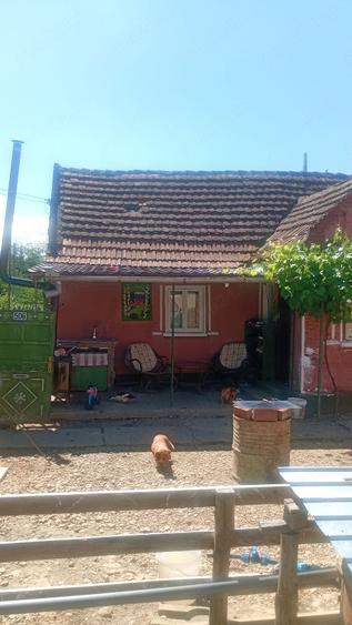 Casă cu Teren 1450 Mp în Agrișu Mare