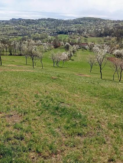 Teren de 2800 mp, în Ormindea