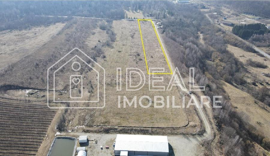 Teren agricol extravilan de 6500 mp, în Cârțișoara