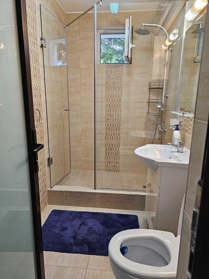 Apartament cu 2 camere decomandat în Dosu Bricii