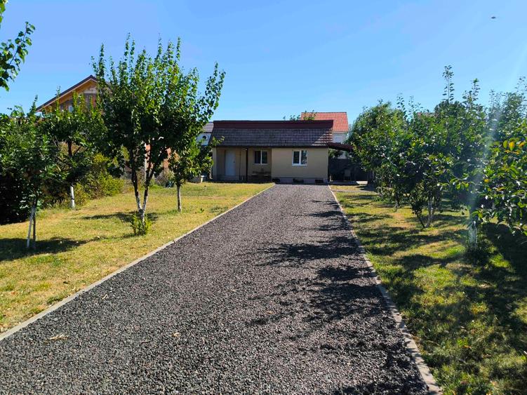 Teren Construcții intravilan de 595 mp, în Săcălaz