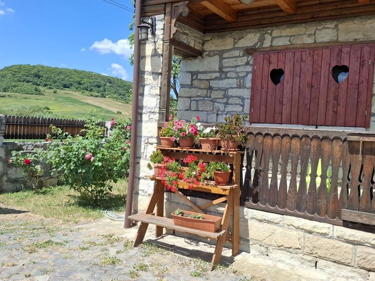 Casă cu 4 camere în Cornești