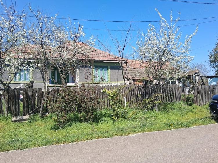 Casă cu Teren 1800 Mp în Căldărușeanca