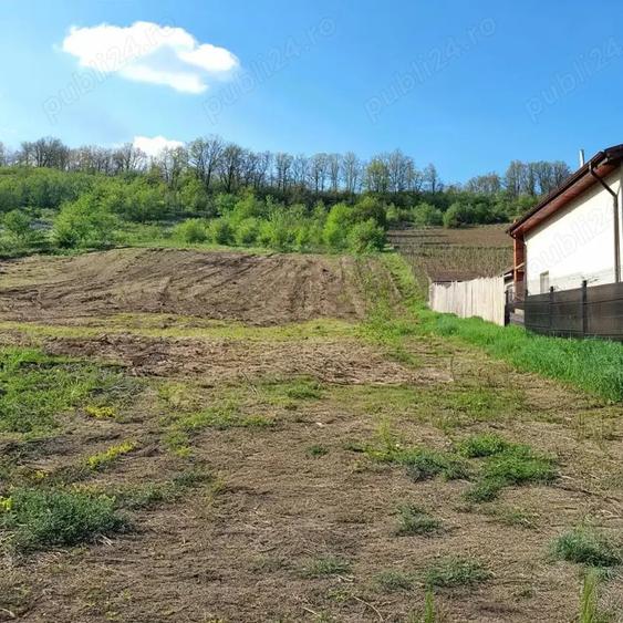 Teren de 6600 mp, în Bucovăț