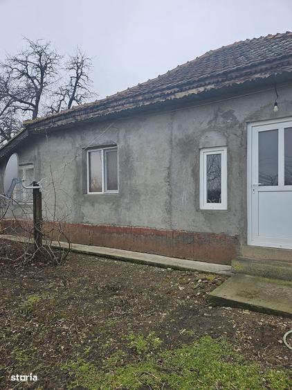 Comuna Valcelele, Strada Mircea cel Batran, Jud. Calarasi - 6