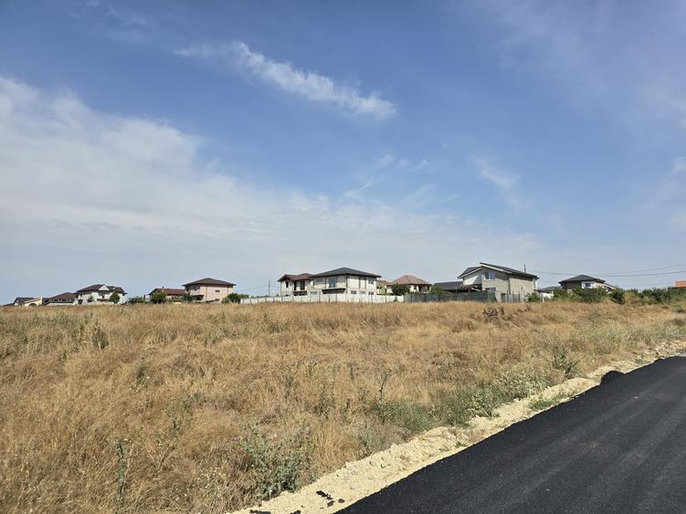 Teren Construcții intravilan de 8000 mp, în Lazu