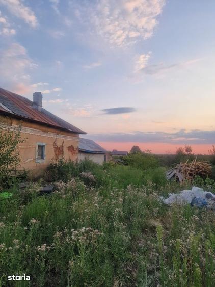 TEREN INTRAVILAN DE VANZARE ROBANE?TI, DOLJ | 5.000 MP - 9