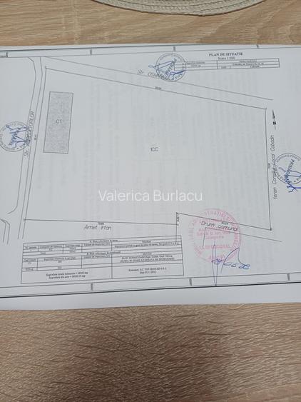 Teren intravilan de vanzare Cobadin 15eu/mp