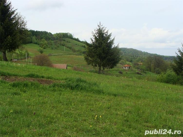 Teren de 11600 mp, în Poiana Mărului