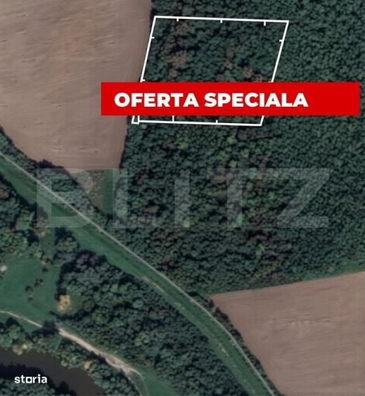 Spațiu comercial, în Șag