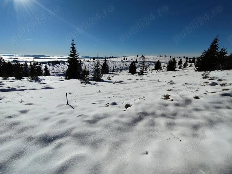 Teren de 2666 mp, în Horea