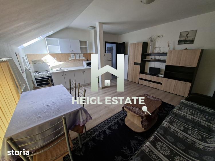 Apartament cu 2 camere, mobilat în Șagului