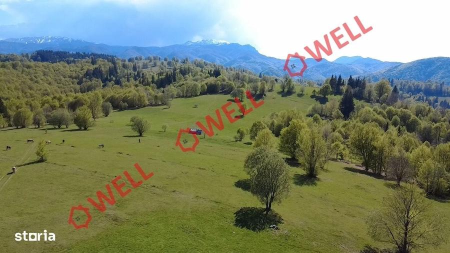 Spațiu comercial, în Vama Buzăului