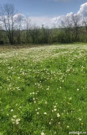Teren de 2000 mp, în Zorlențu Mare