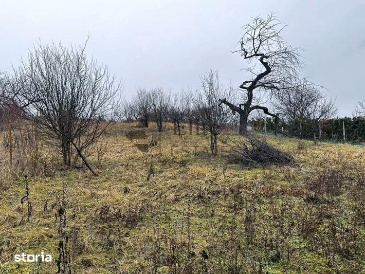 Teren intravilan 1765 mp cu panorama in Cartierul Podgoria - 3
